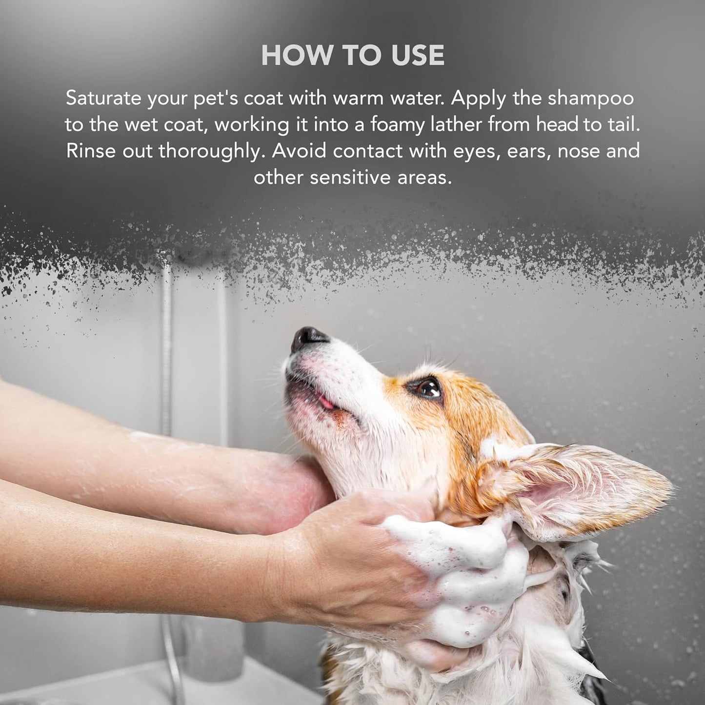 Wahl Mucky Puppy Shampoo, Dog Shampoo, Shampoo for Pets, Gentle Pet Friendly Formula, Sensitive Skin, Shampoo for Young Animals, Ready-to-Use, Remove Dirt.