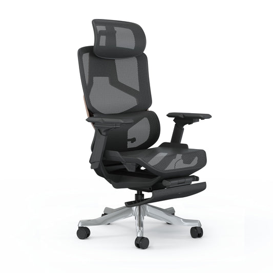 Skyland Executive Computer Office Chair - Advanced Ergonomics, High-Back, Breathable Mesh - Adjustable Lumbar Support, Footrest, Headrest, Seat Depth, Foldable Armrests - Aluminum Swivel Base (Black)