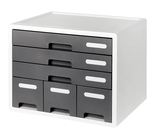 Litem Combo File Cabinet | 6 Drawers with Lable Index | Grey | Desk Organizer Storage Drawers for Office, Home, School Supplies