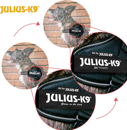 Julius-K9 Idc powerharness, size: s/mini, dark purple