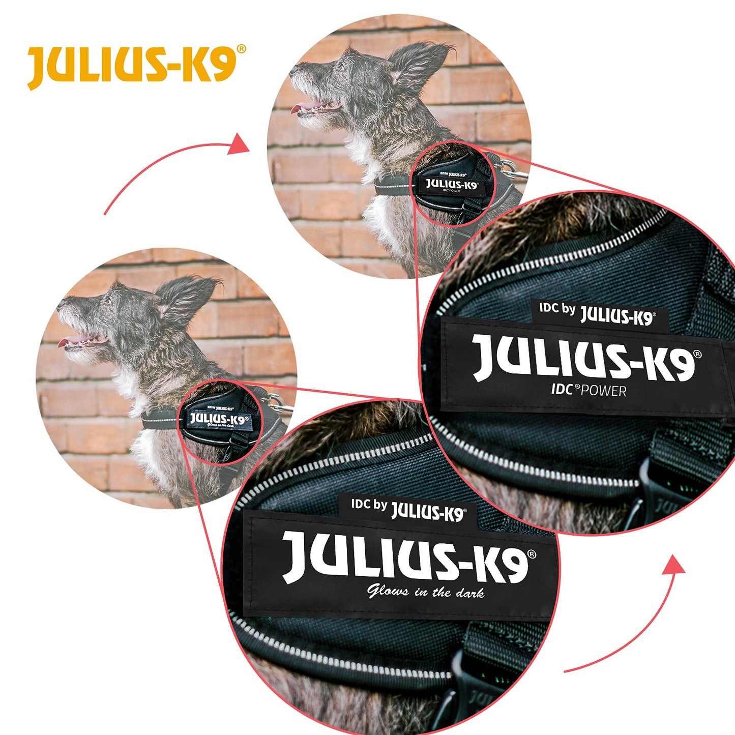 Julius-K9 Idc powerharness, size: s/mini, dark purple