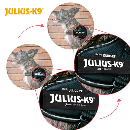 Julius-K9 Idc powerharness, size: s/mini, dark purple