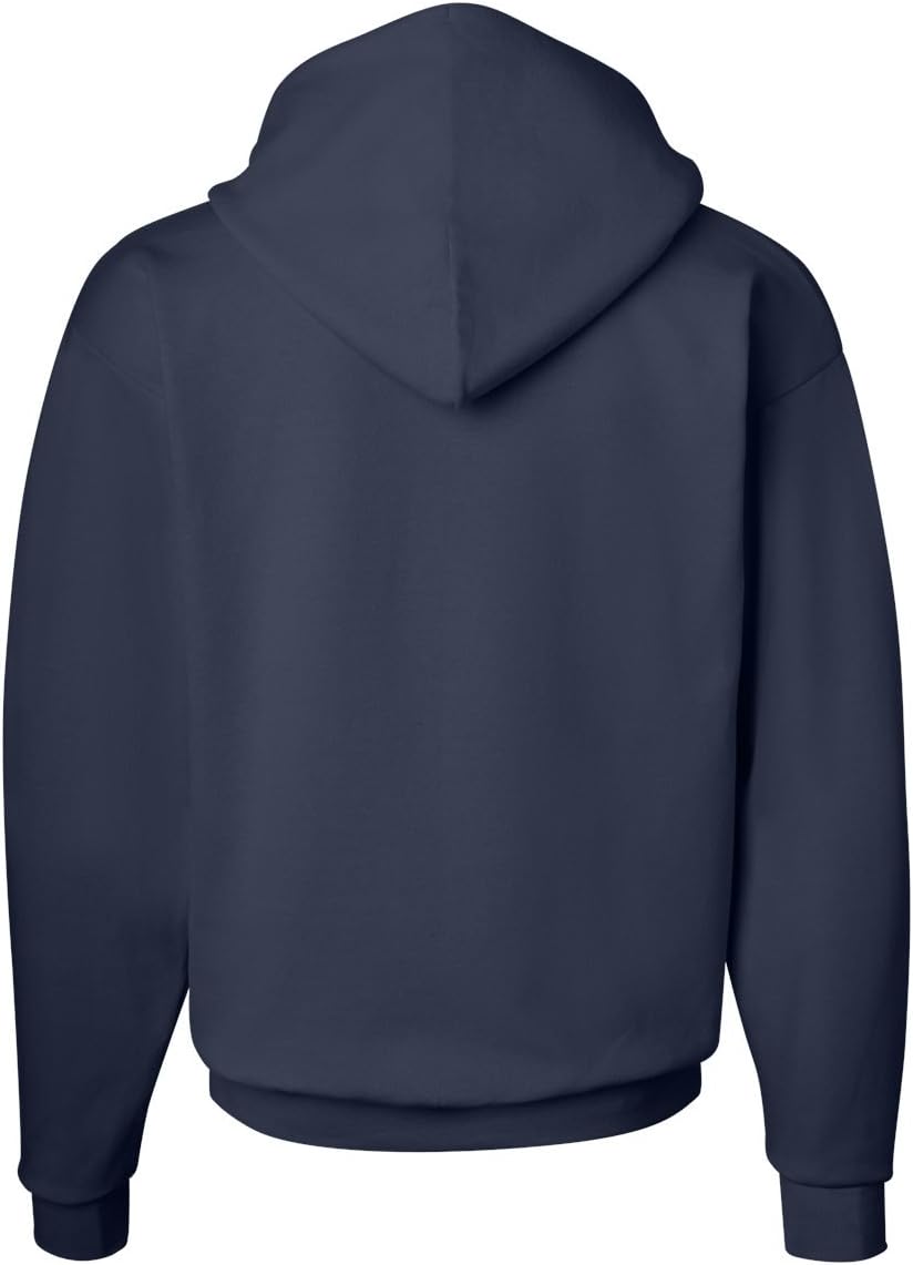 Hanes mens Pullover Ecosmart Hooded Sweatshirt P170 Hoody