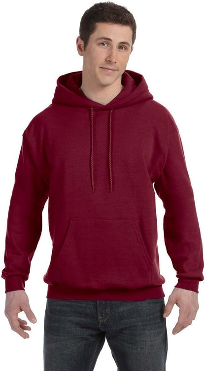 Hanes mens Pullover Ecosmart Hooded Sweatshirt P170 Hoody