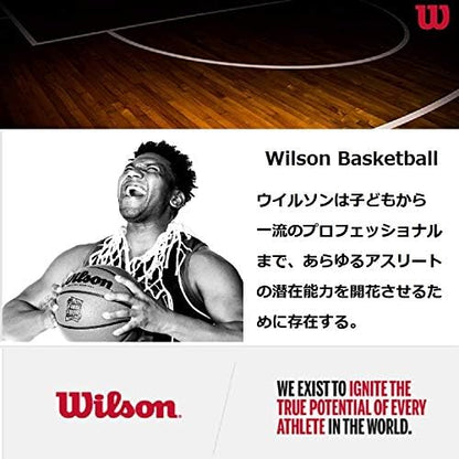 Wilson NBA Forge Series Outdoor Basketballs