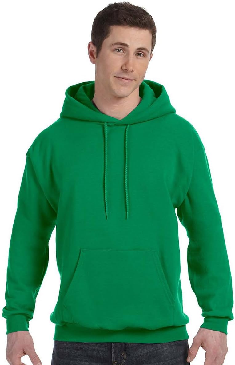 Hanes mens Pullover Ecosmart Hooded Sweatshirt P170 Hoody