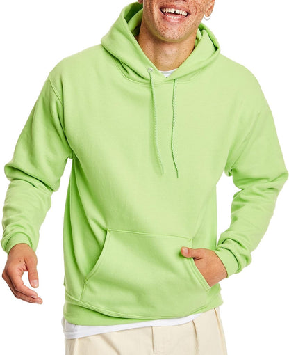 Hanes mens Pullover Ecosmart Hooded Sweatshirt P170 Hoody