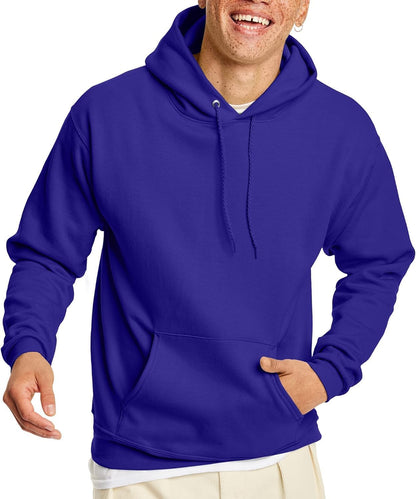 Hanes mens Pullover Ecosmart Hooded Sweatshirt P170 Hoody