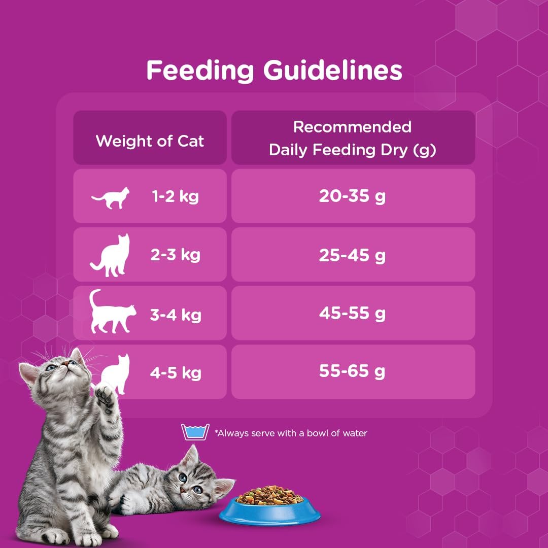 Whiskas Ocean Fish Dry Food, for Adult Cats 1+ Years, Formulated to Help Cats Maintain a Healthy Digestive Tract and Sustain a Healthy Weight, Complete Nutrition & Great Taste, Case of 15x480g