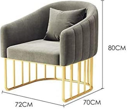 Modern Accent Velvet Chairs Comfy Upholstered Arm Chair Single Sofa With Golden Metal Frame Legs For Living Room Visitor Room (Beige)