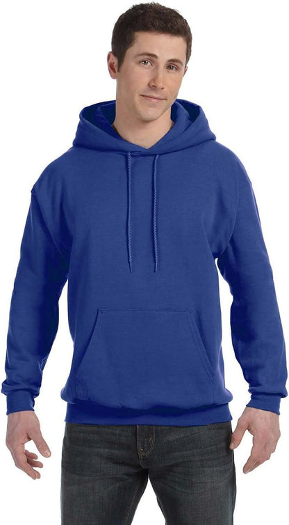 Hanes mens Pullover Ecosmart Hooded Sweatshirt P170 Hoody