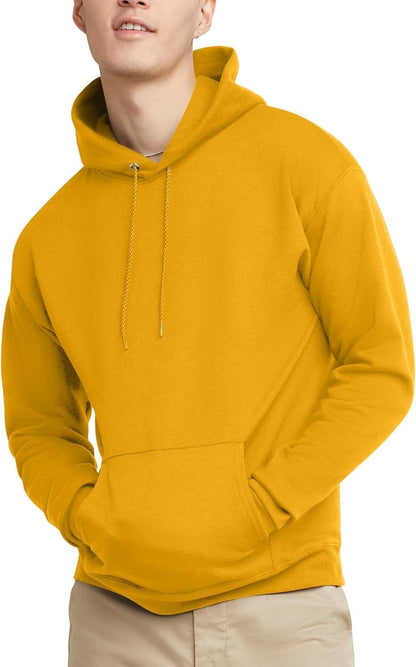 Hanes mens Pullover Ecosmart Hooded Sweatshirt P170 Hoody