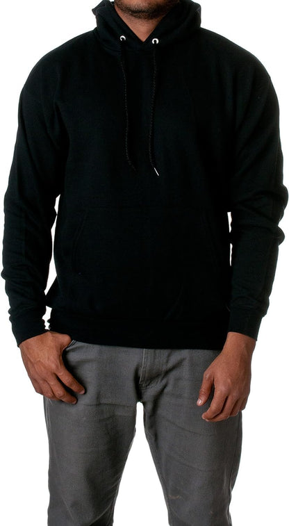 Hanes mens Pullover Ecosmart Hooded Sweatshirt P170 Hoody