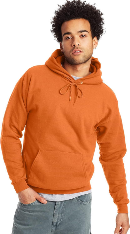 Hanes mens Pullover Ecosmart Hooded Sweatshirt P170 Hoody