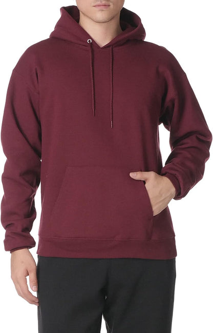 Hanes mens Pullover Ecosmart Hooded Sweatshirt P170 Hoody