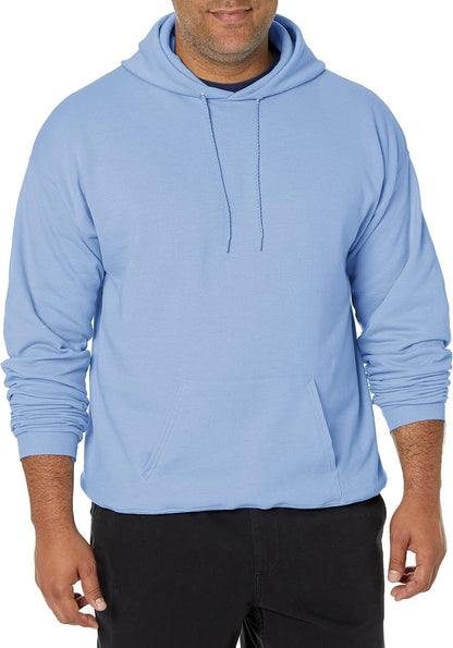 Hanes mens Pullover Ecosmart Hooded Sweatshirt P170 Hoody