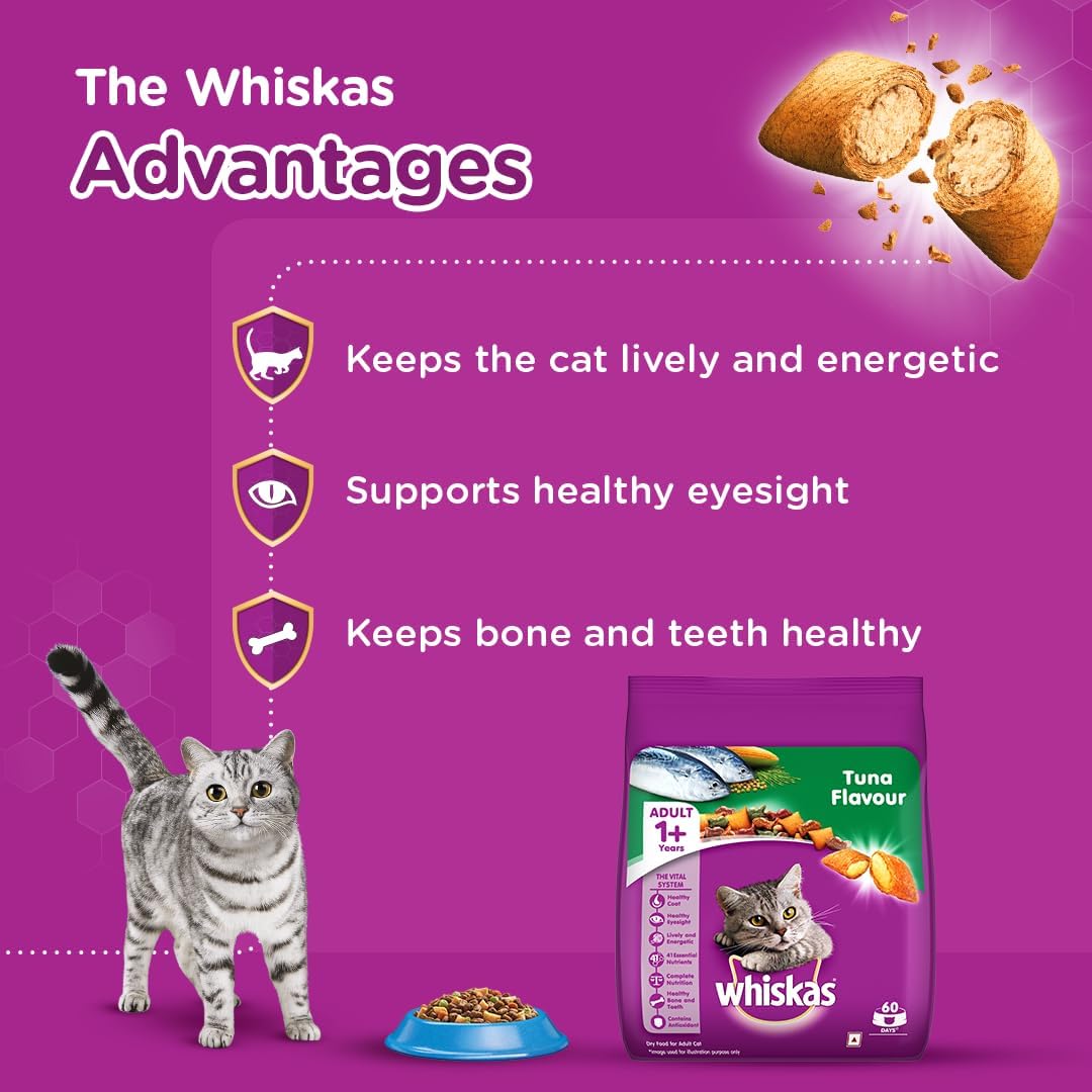 Whiskas Ocean Fish Dry Food, for Adult Cats 1+ Years, Formulated to Help Cats Maintain a Healthy Digestive Tract and Sustain a Healthy Weight, Complete Nutrition & Great Taste, Case of 15x480g