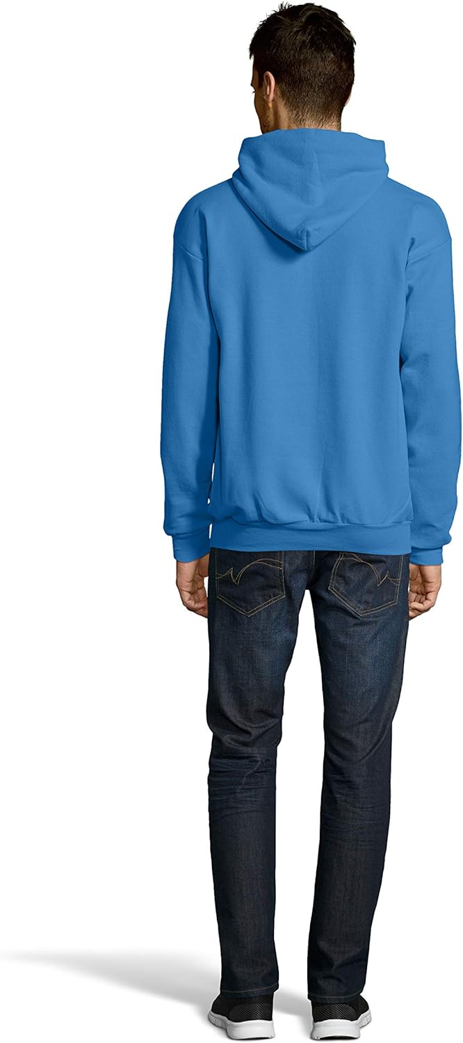 Hanes mens Pullover Ecosmart Hooded Sweatshirt P170 Hoody