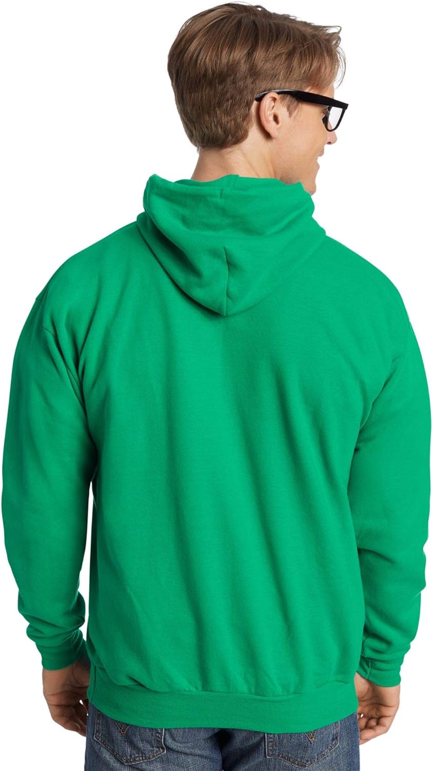 Hanes mens Pullover Ecosmart Hooded Sweatshirt P170 Hoody