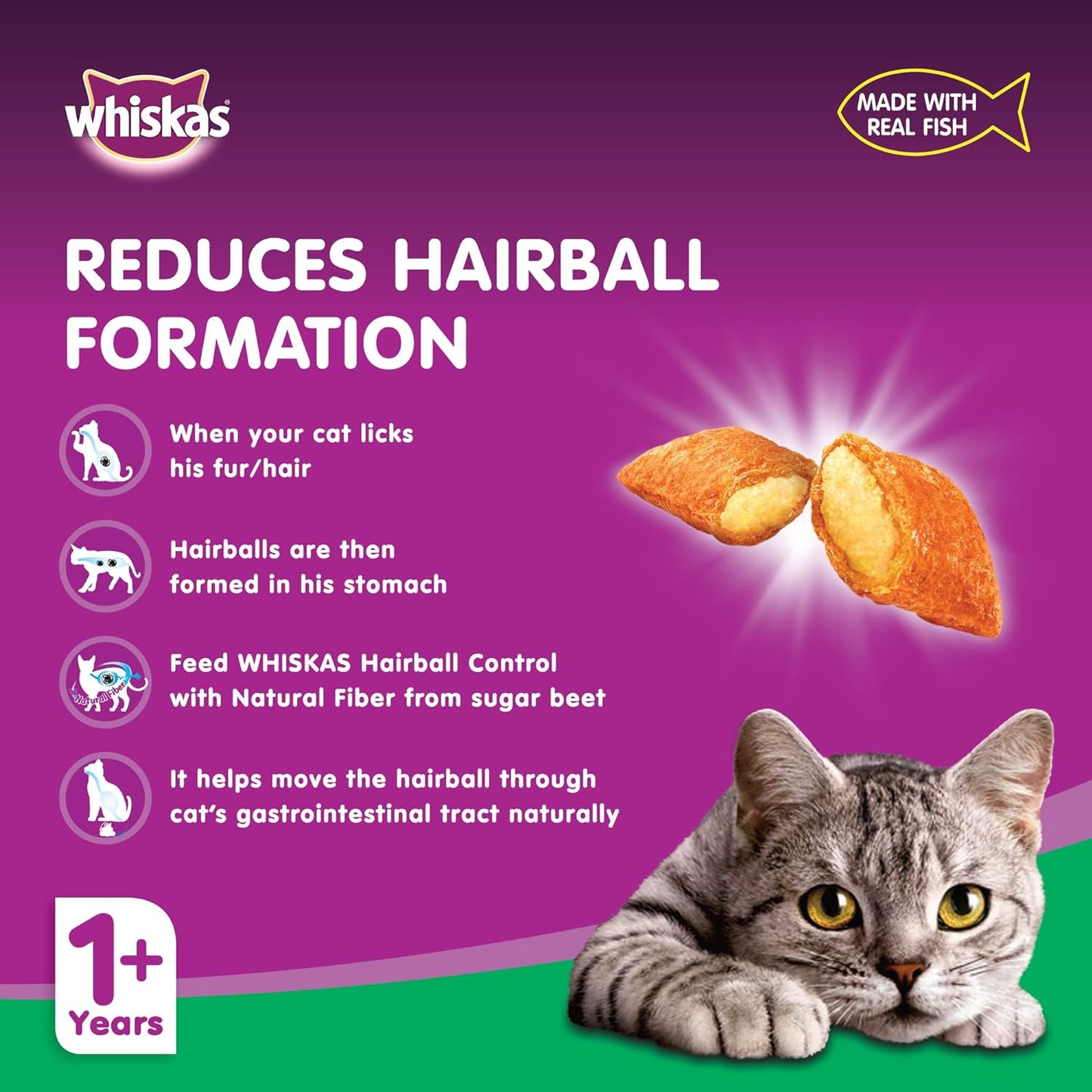 Whiskas Ocean Fish Dry Food, for Adult Cats 1+ Years, Formulated to Help Cats Maintain a Healthy Digestive Tract and Sustain a Healthy Weight, Complete Nutrition & Great Taste, Case of 15x480g