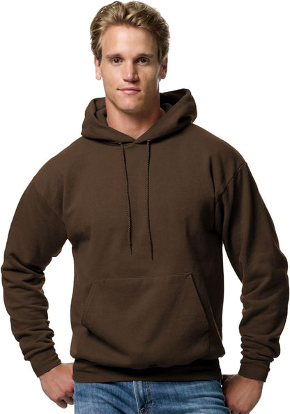 Hanes mens Pullover Ecosmart Hooded Sweatshirt P170 Hoody