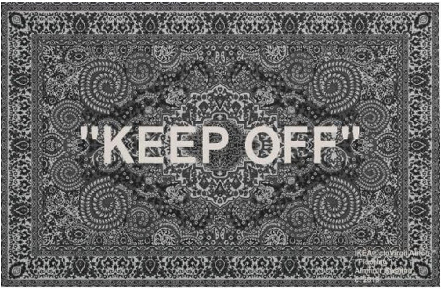 YIKUDU Keep Off Large Rugs Floor Mat Modern Carpet for Home Decoration Area Rug,Cozy Art Decoration Polyester Carpet 36 x 24 inch