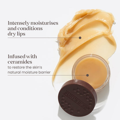 BURT'S BEES 100% Natural Origin Moisturising Lip Butter with Lavender and Honey, 1 Tin 11.3 g