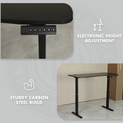 White Mulberry Manual Height Adjustable Sit-Stand Desk | Ergonomic Spacious Sit - Stand Table | Manual Height Adjustable Lever | Use in office, workstation or home | Black | 120 * 60*H(75-118) cm