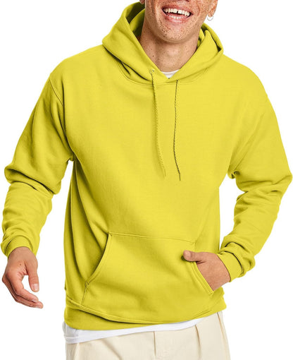 Hanes mens Pullover Ecosmart Hooded Sweatshirt P170 Hoody