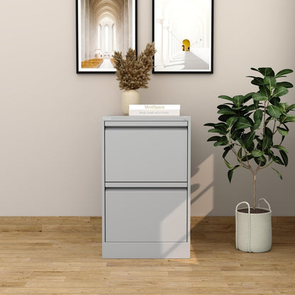 RIGID Steel Vertical Filing Cabinet Large Storage steel Cabinet, Metal Portable Cabinet with 2 Drawers for A4/Lette (White)