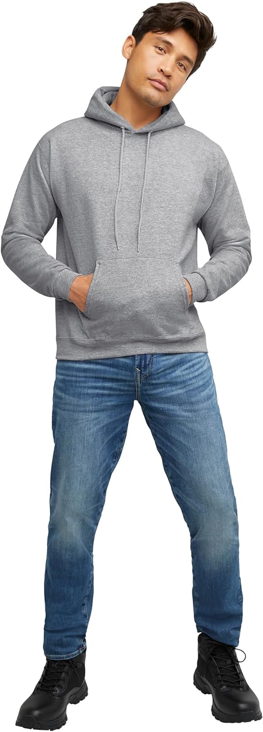 Hanes mens Pullover Ecosmart Hooded Sweatshirt P170 Hoody