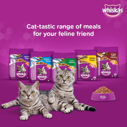 Whiskas Ocean Fish Dry Food, for Adult Cats 1+ Years, Formulated to Help Cats Maintain a Healthy Digestive Tract and Sustain a Healthy Weight, Complete Nutrition & Great Taste, Case of 15x480g