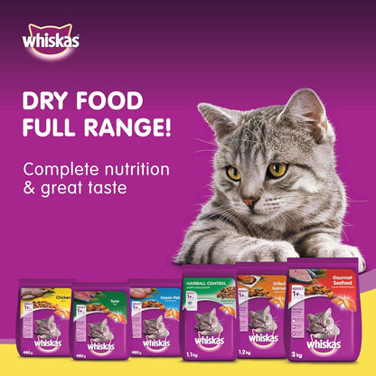 Whiskas Ocean Fish Dry Food, for Adult Cats 1+ Years, Formulated to Help Cats Maintain a Healthy Digestive Tract and Sustain a Healthy Weight, Complete Nutrition & Great Taste, Case of 15x480g