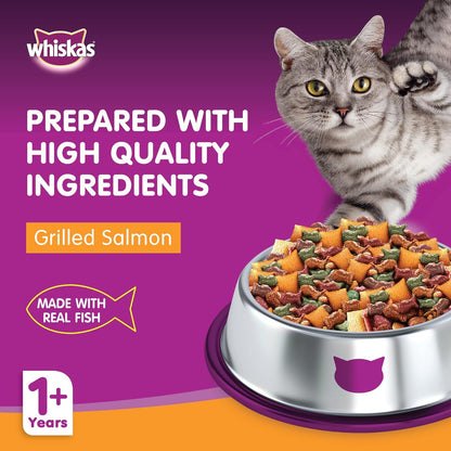 Whiskas Ocean Fish Dry Food, for Adult Cats 1+ Years, Formulated to Help Cats Maintain a Healthy Digestive Tract and Sustain a Healthy Weight, Complete Nutrition & Great Taste, Case of 15x480g