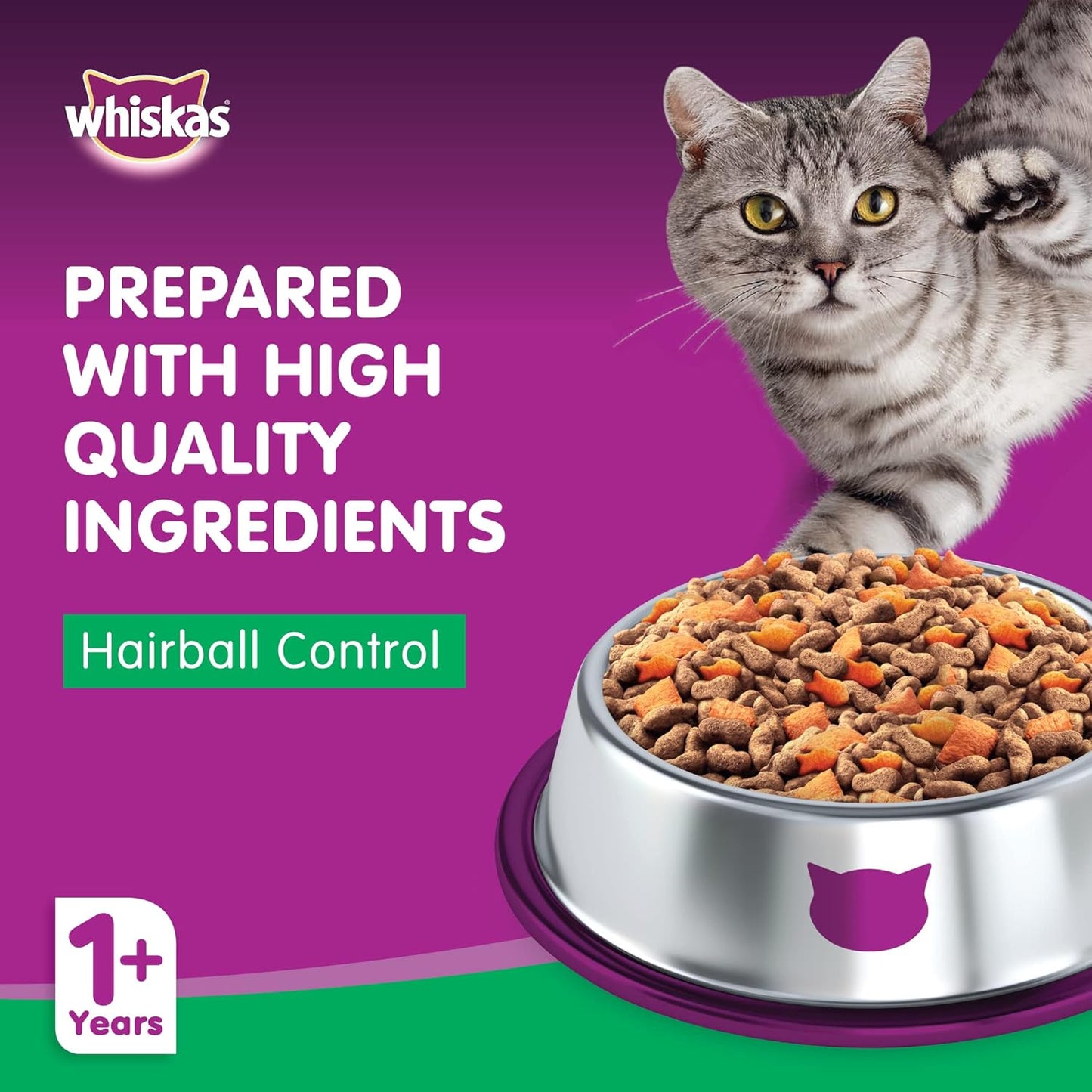 Whiskas Ocean Fish Dry Food, for Adult Cats 1+ Years, Formulated to Help Cats Maintain a Healthy Digestive Tract and Sustain a Healthy Weight, Complete Nutrition & Great Taste, Case of 15x480g