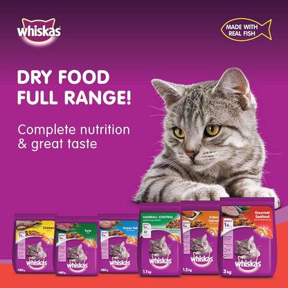 Whiskas Ocean Fish Dry Food, for Adult Cats 1+ Years, Formulated to Help Cats Maintain a Healthy Digestive Tract and Sustain a Healthy Weight, Complete Nutrition & Great Taste, Case of 15x480g