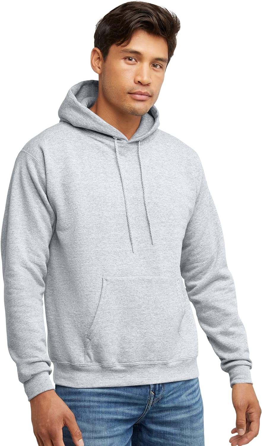 Hanes mens Pullover Ecosmart Hooded Sweatshirt P170 Hoody