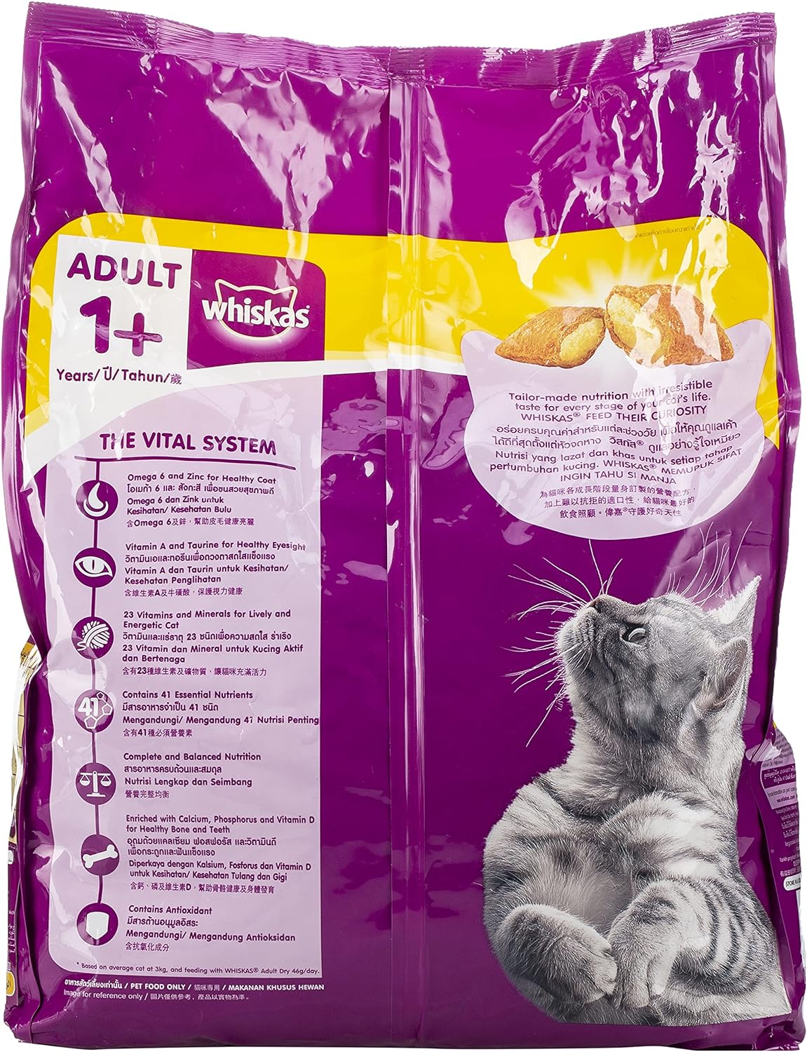 Whiskas Ocean Fish Dry Food, for Adult Cats 1+ Years, Formulated to Help Cats Maintain a Healthy Digestive Tract and Sustain a Healthy Weight, Complete Nutrition & Great Taste, Case of 15x480g